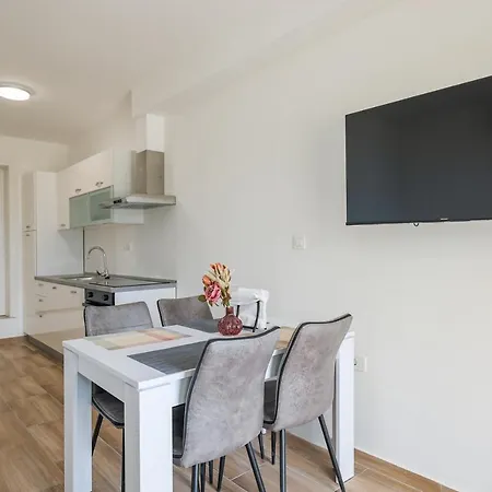 Apartment Beachfront Tic With Seaview Miletici